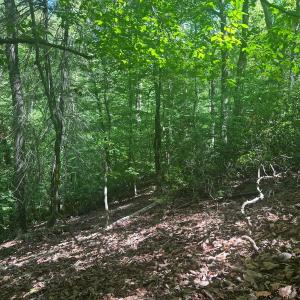 Photo #46 of Off of  Jones Overlook , Howardsville, VA 8.2 acres