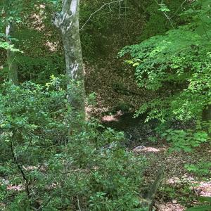 Photo #48 of Off of  Jones Overlook , Howardsville, VA 8.2 acres