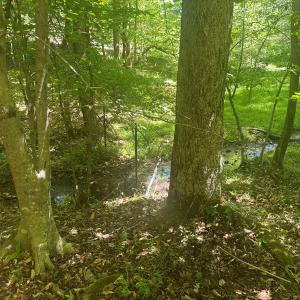 Photo #50 of Off of  Jones Overlook , Howardsville, VA 8.2 acres