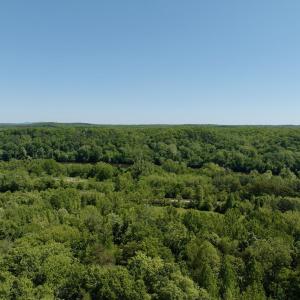 Photo #51 of Off of  Jones Overlook , Howardsville, VA 8.2 acres