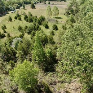Photo #53 of Off of  Jones Overlook , Howardsville, VA 8.2 acres