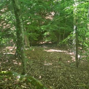 Photo #54 of Off of  Jones Overlook , Howardsville, VA 8.2 acres