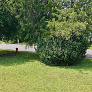 Photo #50 of 330 Fernando St, Manteo, NC 0.2 acres