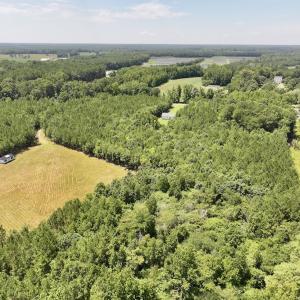 Photo #10 of Off Morning Star Church Road, Battleboro, NC 17.5 acres