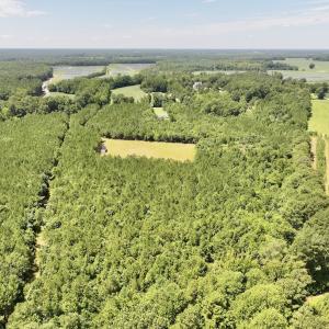 Photo #11 of Off Morning Star Church Road, Battleboro, NC 17.5 acres