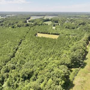 Photo #12 of Off Morning Star Church Road, Battleboro, NC 17.5 acres