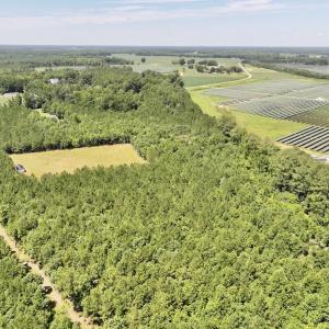 Photo #13 of Off Morning Star Church Road, Battleboro, NC 17.5 acres