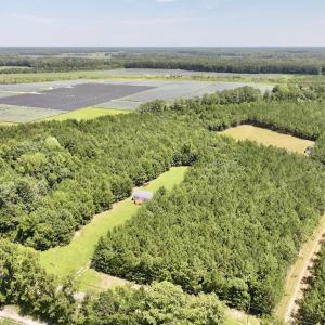 Photo #15 of Off Morning Star Church Road, Battleboro, NC 17.5 acres