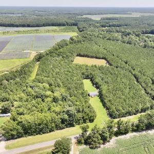 Photo #16 of Off Morning Star Church Road, Battleboro, NC 17.5 acres