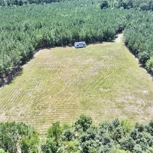 Photo #17 of Off Morning Star Church Road, Battleboro, NC 17.5 acres