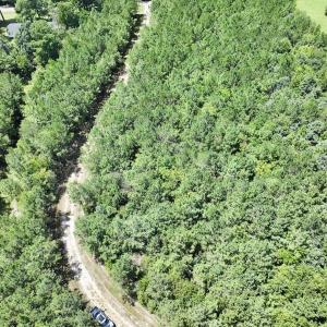 Photo #18 of Off Morning Star Church Road, Battleboro, NC 17.5 acres