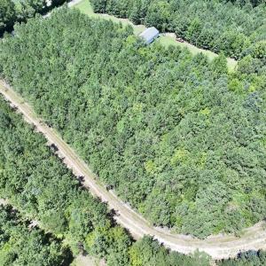 Photo #19 of Off Morning Star Church Road, Battleboro, NC 17.5 acres