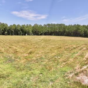 Photo #1 of Off Morning Star Church Road, Battleboro, NC 17.5 acres