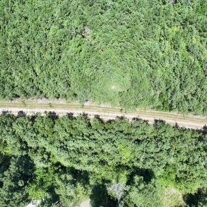 Photo #20 of Off Morning Star Church Road, Battleboro, NC 17.5 acres