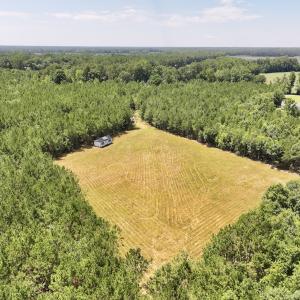 Photo #6 of Off Morning Star Church Road, Battleboro, NC 17.5 acres