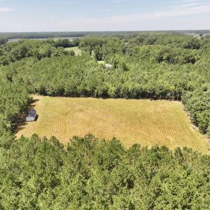 Photo #7 of Off Morning Star Church Road, Battleboro, NC 17.5 acres