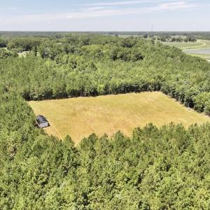 Photo #8 of Off Morning Star Church Road, Battleboro, NC 17.5 acres