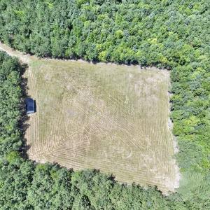 Photo #9 of Off Morning Star Church Road, Battleboro, NC 17.5 acres