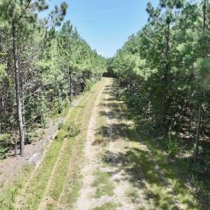 Photo #21 of Off Morning Star Church Road, Battleboro, NC 17.5 acres
