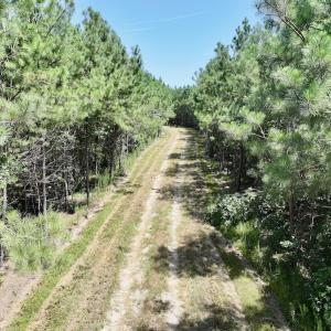 Photo #22 of Off Morning Star Church Road, Battleboro, NC 17.5 acres
