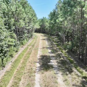 Photo #23 of Off Morning Star Church Road, Battleboro, NC 17.5 acres