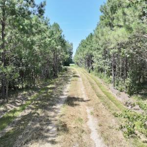 Photo #24 of Off Morning Star Church Road, Battleboro, NC 17.5 acres