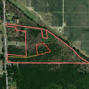 Photo #30 of Off Morning Star Church Road, Battleboro, NC 17.5 acres