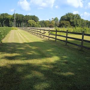 Photo #11 of Off of Ballahack Rd, Chesapeake, VA 11.8 acres