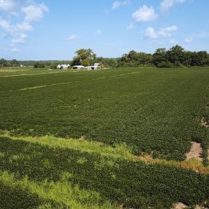 Photo #12 of Off of Ballahack Rd, Chesapeake, VA 11.8 acres