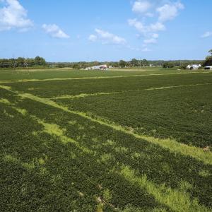 Photo #14 of Off of Ballahack Rd, Chesapeake, VA 11.8 acres