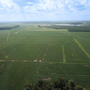 Photo #15 of Off of Ballahack Rd, Chesapeake, VA 11.8 acres