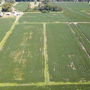 Photo #17 of Off of Ballahack Rd, Chesapeake, VA 11.8 acres
