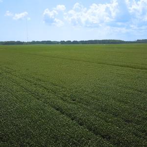 Photo #19 of Off of Ballahack Rd, Chesapeake, VA 11.8 acres