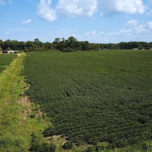 Photo #20 of Off of Ballahack Rd, Chesapeake, VA 11.8 acres