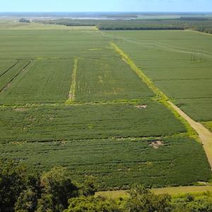 Photo #21 of Off of Ballahack Rd, Chesapeake, VA 11.8 acres