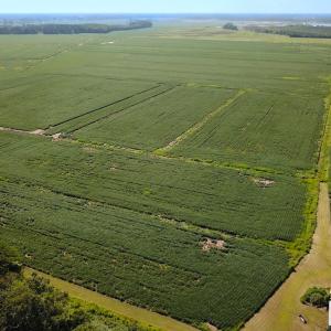 Photo #1 of Off of Ballahack Rd, Chesapeake, VA 11.8 acres