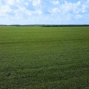 Photo #2 of Off of Ballahack Rd, Chesapeake, VA 11.8 acres