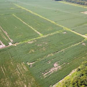 Photo #26 of Off of Ballahack Rd, Chesapeake, VA 11.8 acres