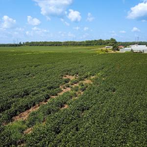 Photo #27 of Off of Ballahack Rd, Chesapeake, VA 11.8 acres