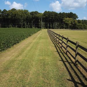 Photo #3 of Off of Ballahack Rd, Chesapeake, VA 11.8 acres