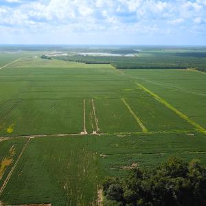 Photo #5 of Off of Ballahack Rd, Chesapeake, VA 11.8 acres