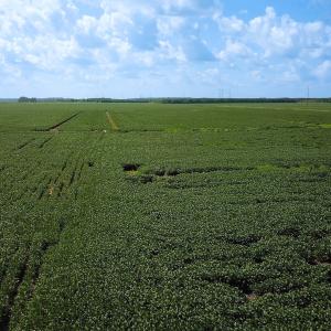 Photo #7 of Off of Ballahack Rd, Chesapeake, VA 11.8 acres