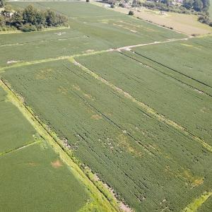 Photo #9 of Off of Ballahack Rd, Chesapeake, VA 11.8 acres