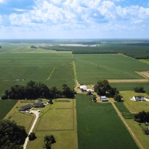 Photo #10 of Off of Ballahack Rd, Chesapeake, VA 11.8 acres