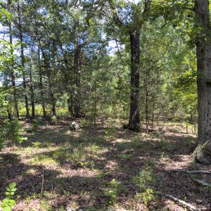 Photo #6 of Off of Oxford Rd/Robert Ladd Dr, Rougemont, NC 27.3 acres