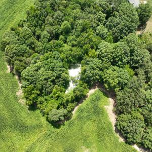 Photo #16 of Off of Oxford Rd/Robert Ladd Dr, Rougemont, NC 27.3 acres