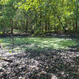Photo #17 of Off of Oxford Rd/Robert Ladd Dr, Rougemont, NC 27.3 acres