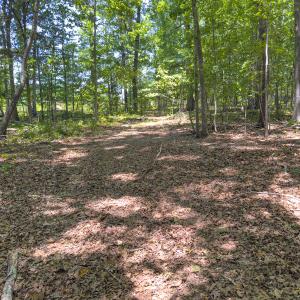Photo #18 of Off of Oxford Rd/Robert Ladd Dr, Rougemont, NC 27.3 acres