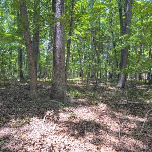 Photo #20 of Off of Oxford Rd/Robert Ladd Dr, Rougemont, NC 27.3 acres