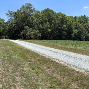 Photo #23 of Off of Oxford Rd/Robert Ladd Dr, Rougemont, NC 27.3 acres